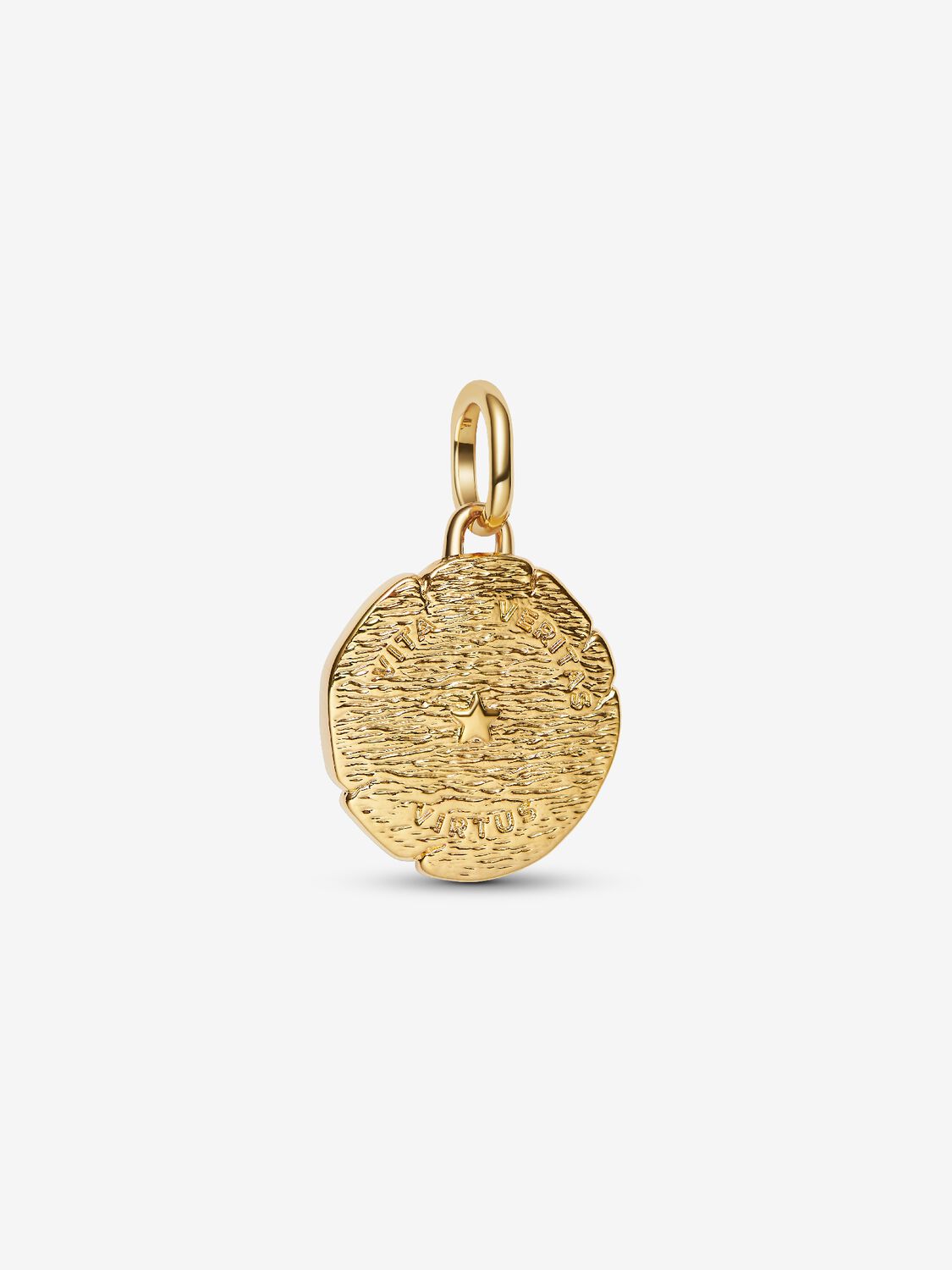 Löwe Medaillon-Charm 14 Karat Vergoldung