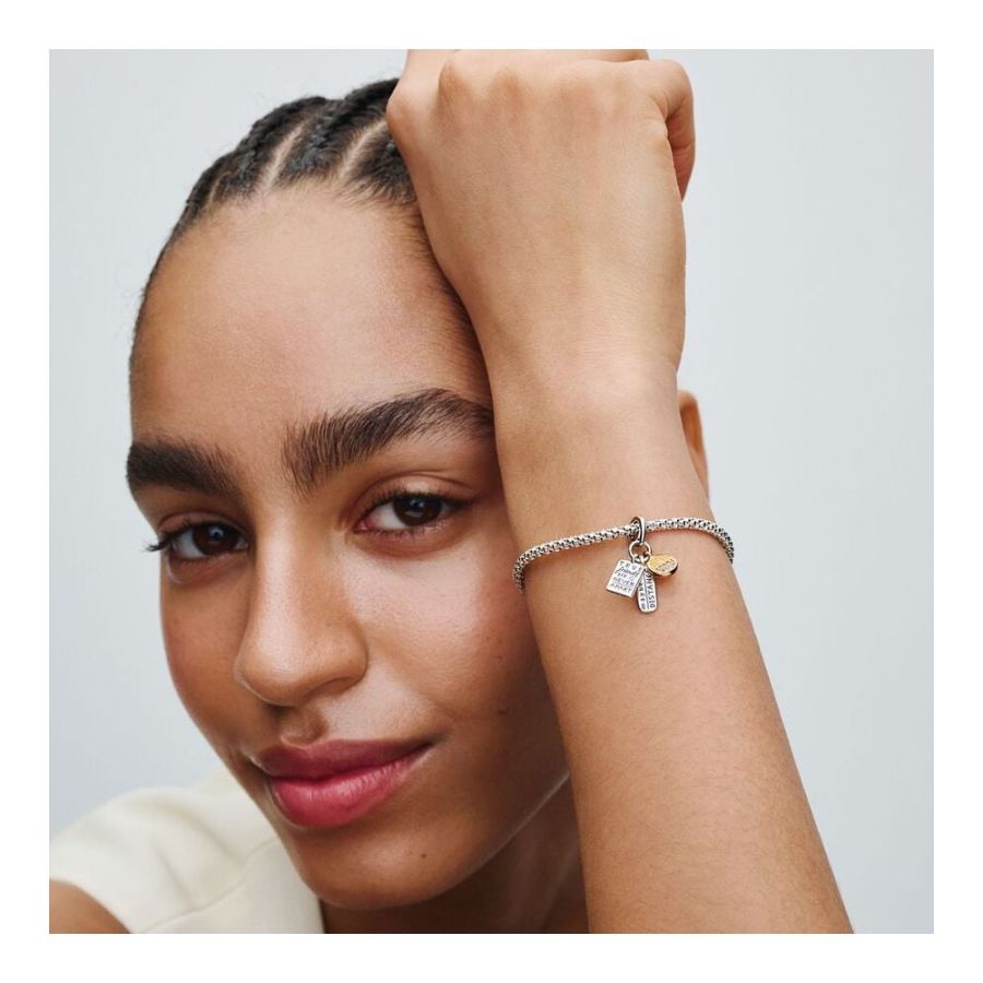 Charm-Anhänger Freundschaft Zirkon Silber Vergoldet