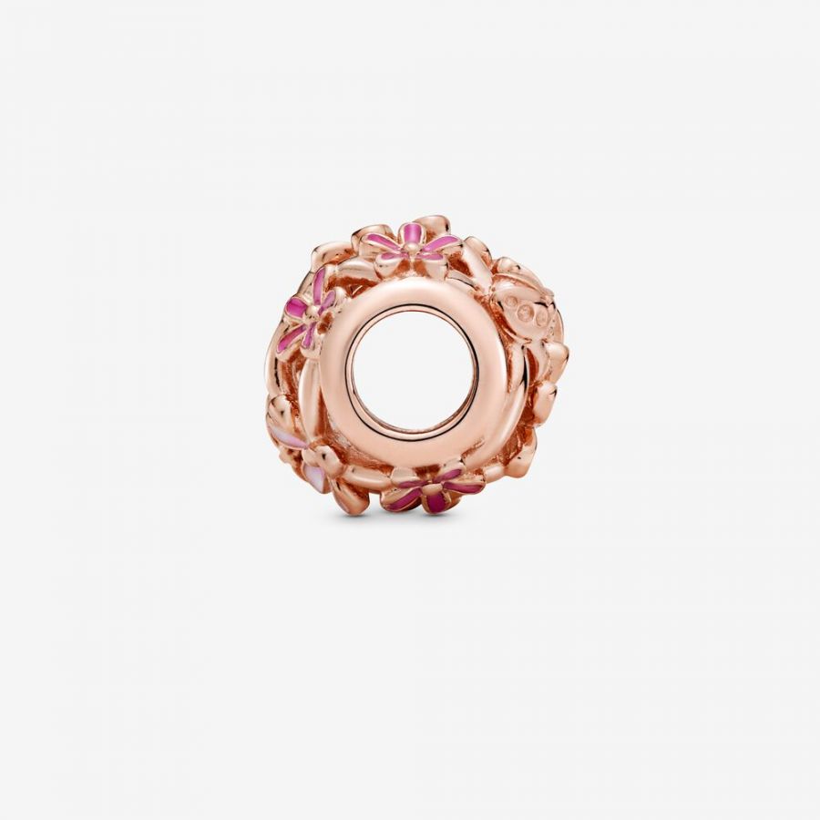 Rose  Charm Rosafarbenes Gänseblümchen