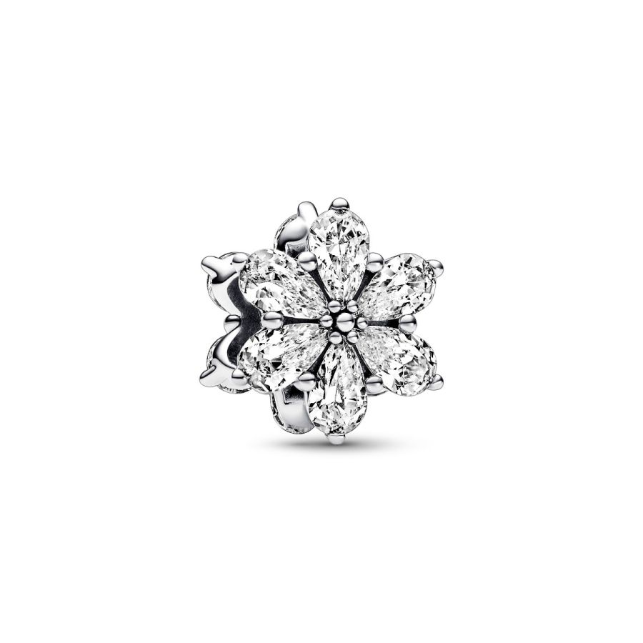 Charm Funkelndes Herbarium Cluster Zirkonia Silber