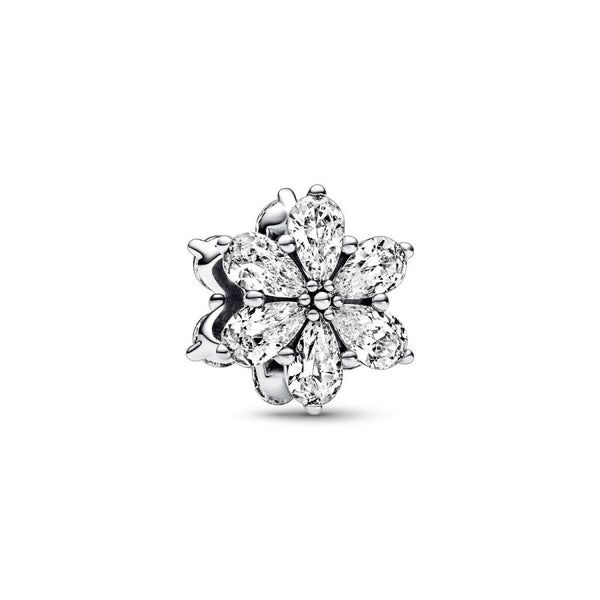 Charm Funkelndes Herbarium Cluster Zirkonia Silber