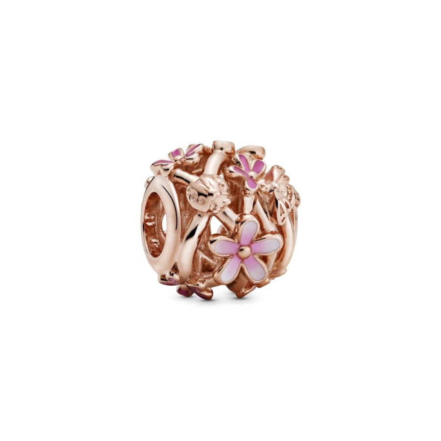 Rose  Charm Rosafarbenes Gänseblümchen