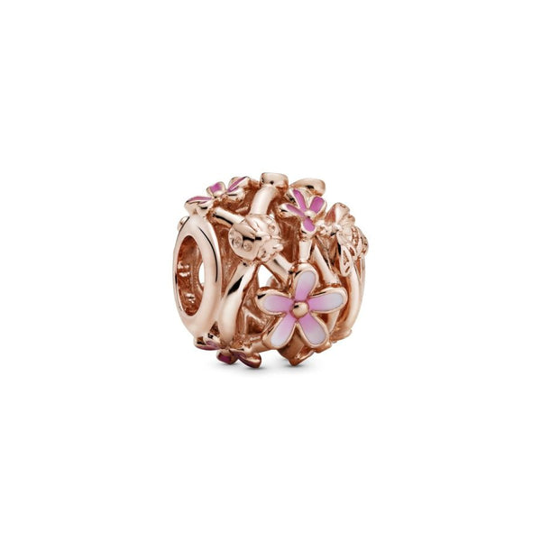 Rose  Charm Rosafarbenes Gänseblümchen