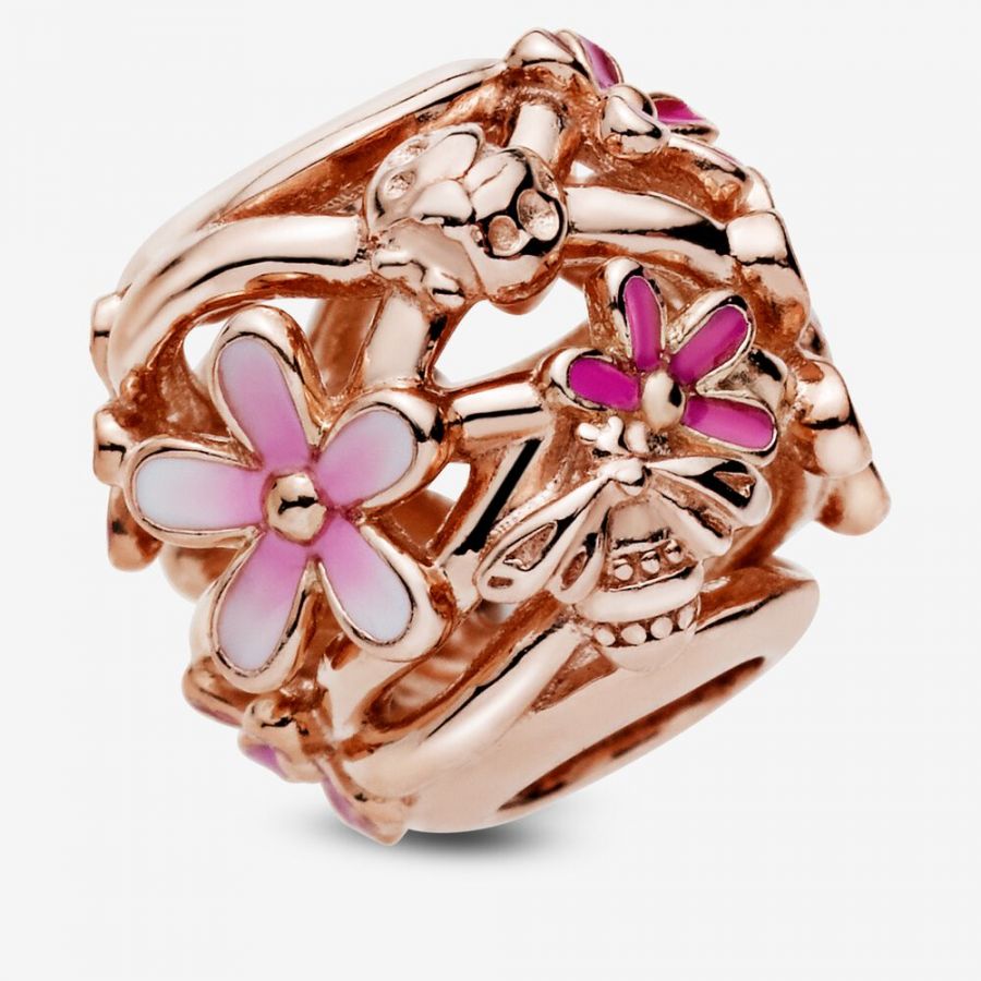 Rose  Charm Rosafarbenes Gänseblümchen