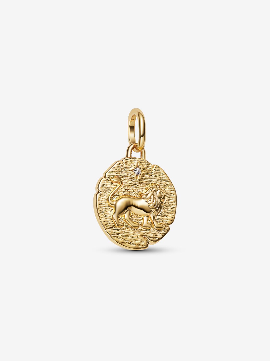 Löwe Medaillon-Charm 14 Karat Vergoldung Hauptbild