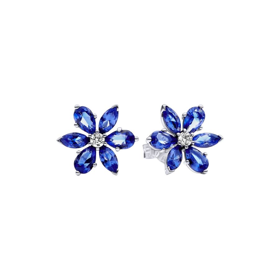 Ohrringe Ohrstecker Funkelnde Blaue Herbarium Cluster Silber Hauptbild