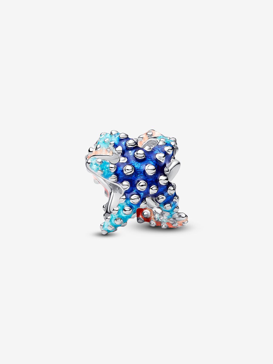 Farbenfroher Seestern Mini-Charm Sterling-Silber Hauptbild