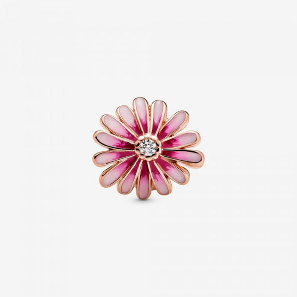 Rose  Charm Rosafarbenes Gänseblümchen