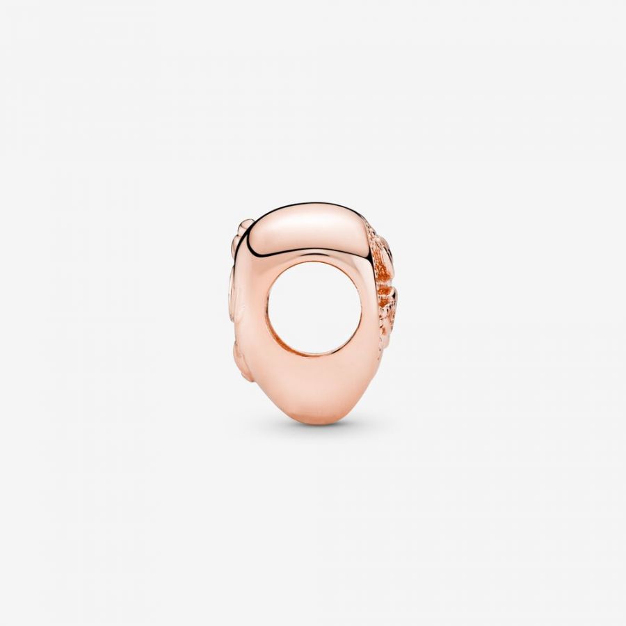 Rose  Charm Stammbaum Herz Zweitbild
