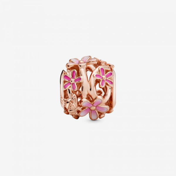 Rose  Charm Rosafarbenes Gänseblümchen